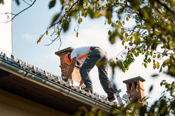 Quick and Trustworthy Emergency Roof Repair Services in Dayton, NV
